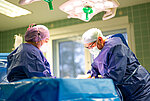 Orthopädie, Unfall- & Handchirurgie